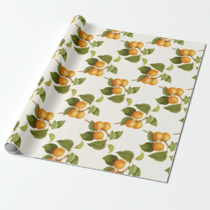 Papel De Regalo Apricot