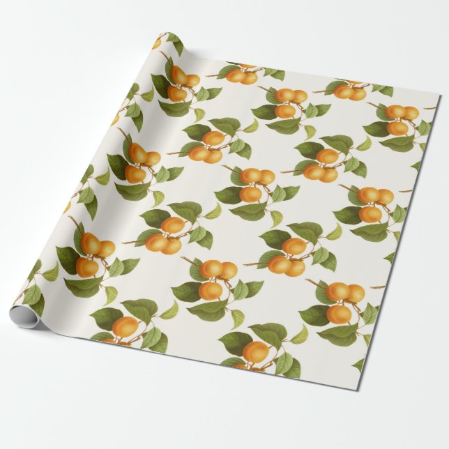 Papel De Regalo Apricot (Desenrollado)