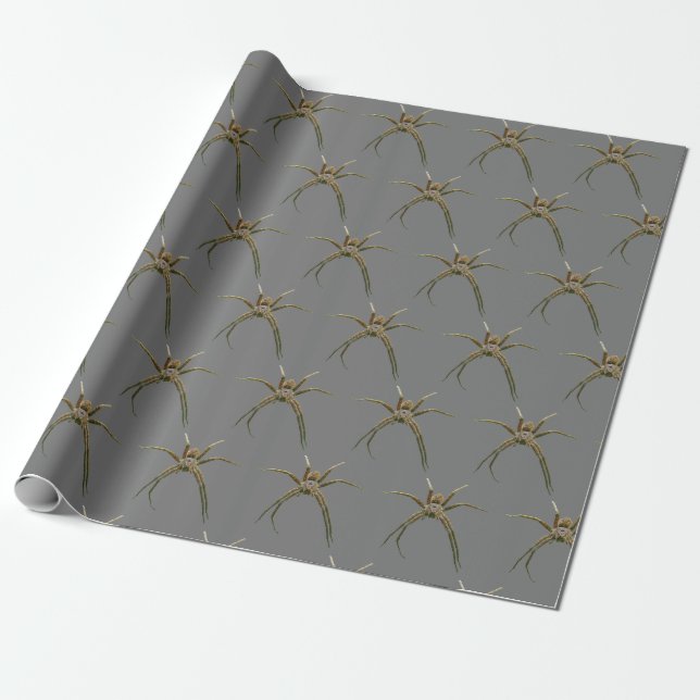 Papel De Regalo Araña (Desenrollado)