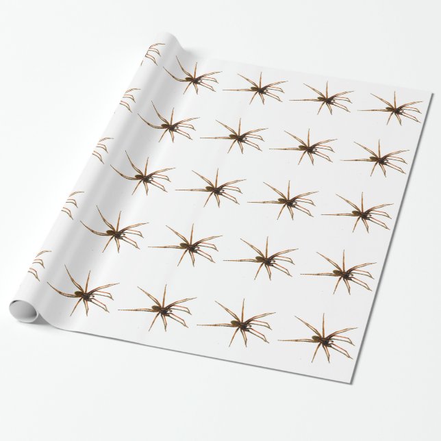 Papel De Regalo Araña (Desenrollado)