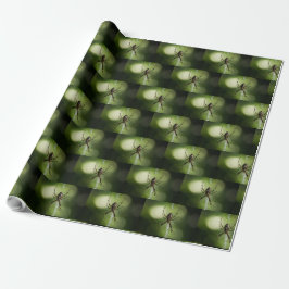 Papel De Regalo Araña de jardín amarillo