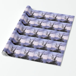 Papel De Regalo Árbol crepuscular