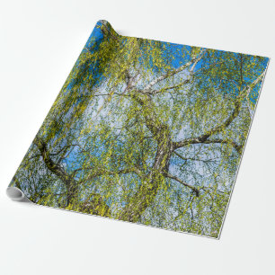 Papel De Regalo Árbol de aves - La primavera está en el aire