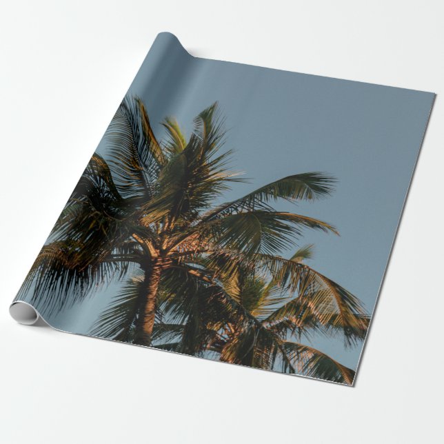 Papel De Regalo Árbol de coco alto (Desenrollado)