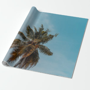Papel De Regalo Árbol de coco verde bajo cielo azul