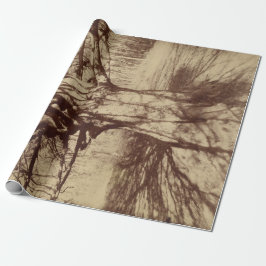 Papel De Regalo Árbol de haya (por Eugène Atget)