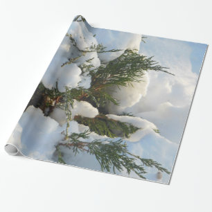 Papel De Regalo Árbol de hoja perenne enterrado nieve