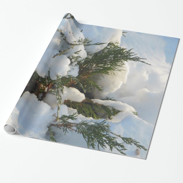 Papel De Regalo Árbol de hoja perenne enterrado nieve (Desenrollado)