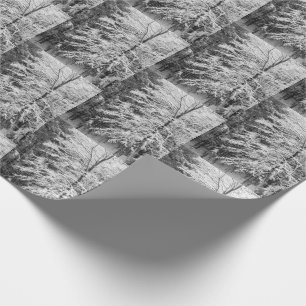 Papel De Regalo Arbol De Maple Cubierto De Nieve En Invierno