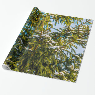 Papel De Regalo Árbol de Navidad verde en la nieve