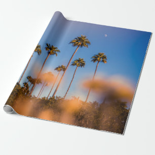 Papel De Regalo Árbol de palma bajo cielo azul