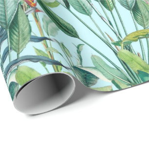 Papel De Regalo Árbol de plátano de selva tropical verde Strelitzi