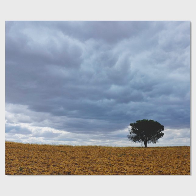 Papel De Regalo Árbol en un campo vacío (Superficie plana)