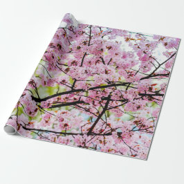 Papel De Regalo Árbol Sakura En Bloom Rosa Completo En Primavera