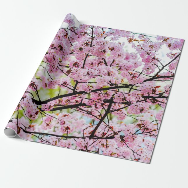 Papel De Regalo Árbol Sakura En Bloom Rosa Completo En Primavera (Desenrollado)