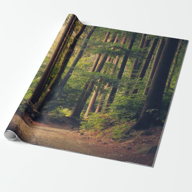 PAPEL DE REGALO ÁRBOLES FORESTALES (Desenrollado)