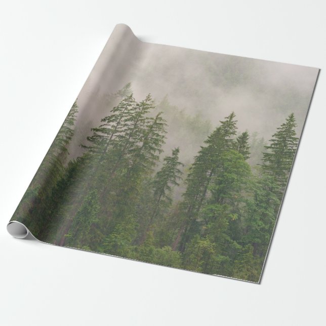 Papel De Regalo Árboles forestales de niebla (Desenrollado)