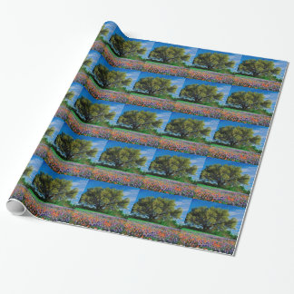 Papel De Regalo Árboles Live Oak entre los Bluebonnets de Tejas