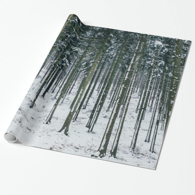 Papel De Regalo Árboles nevados del paisaje del bosque del (Desenrollado)