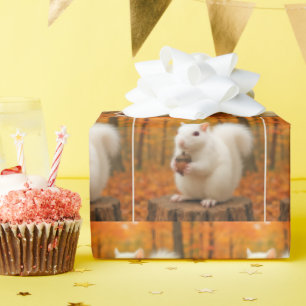 Papel De Regalo Ardilla blanca sosteniendo un maíz