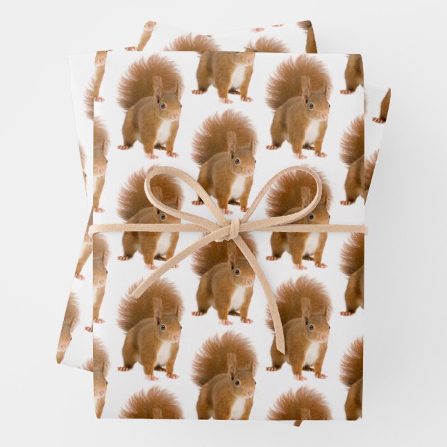 Papel de Regalo Ardilla Roja Esponjosa Clásica (In situ)