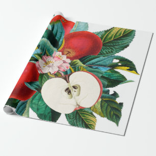 Papel De Regalo Arreglo antiguo de manzanas botánicas, manzana t