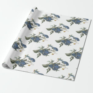 Papel De Regalo Arrendajo azul por Audubon
