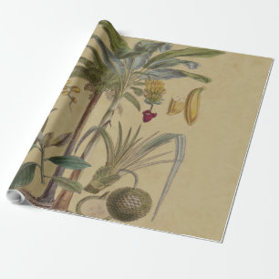 Papel De Regalo Arte botánico de frutas tropicales palmo antiguo