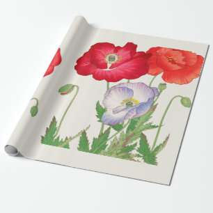 Papel De Regalo Arte Botánico Vintage de la Amapola Japonesa 1917