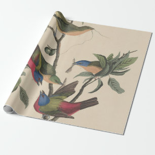 Papel De Regalo Arte de ave colorido Pintor Variado Audubon Vintag