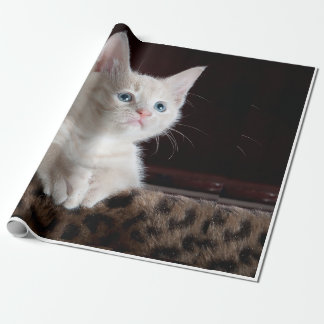 Papel De Regalo aspecto del gato