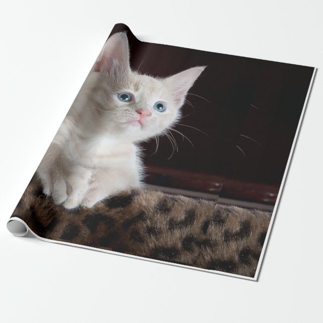 Papel De Regalo aspecto del gato (Desenrollado)