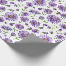 Aster americano de Flor Silvestre de Nueva Inglate