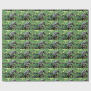 Papel De Regalo Athene noctua