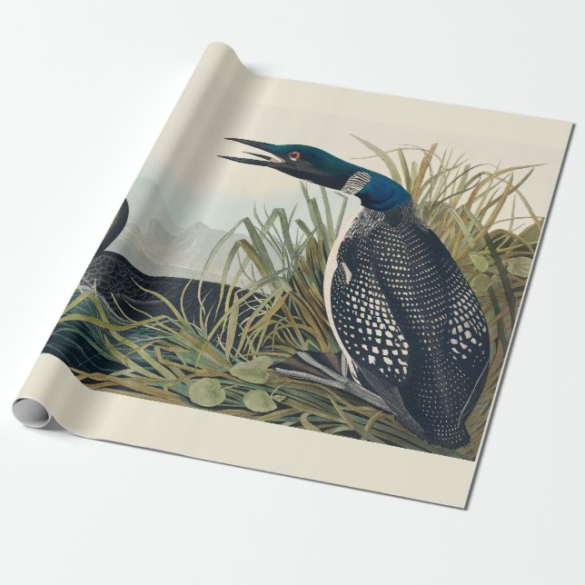 Papel De Regalo Audubon Bird Lodge Diver Classic (Desenrollado)