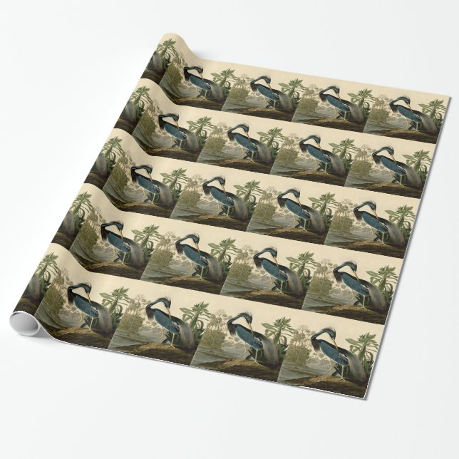 Papel De Regalo Audubon Louisiana Heron Birds America Art (Desenrollado)