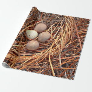 Papel De Regalo Ave Nest Brown Huevos Antiguo Viejo Antiguo Retro