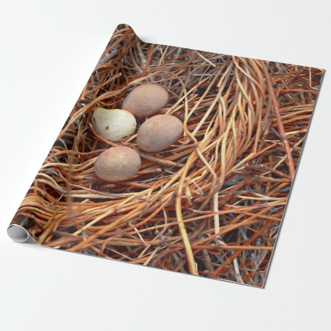 Papel De Regalo Ave Nest Brown Huevos Antiguo Viejo Antiguo Retro (Desenrollado)
