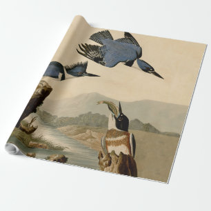 Papel De Regalo Ave salvaje Audubon Belt Kingfisher