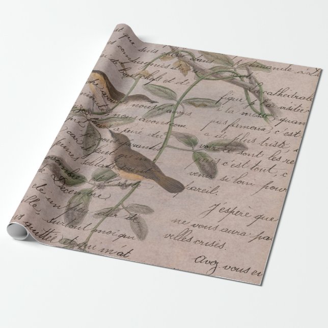 Papel De Regalo Aves antiguas en ramas con escritura (Desenrollado)