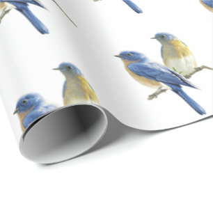 Papel De Regalo Aves azules en blanco