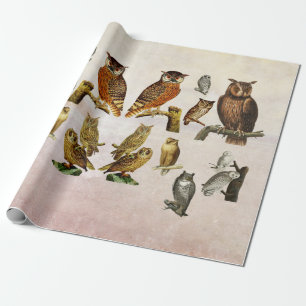 Papel De Regalo Aves de la época Animales silvestres Collage artís