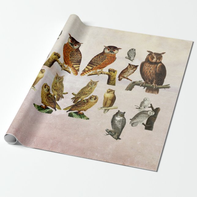 Papel De Regalo Aves de la época Animales silvestres Collage artís (Desenrollado)