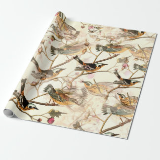 Papel De Regalo Aves en una sucursal