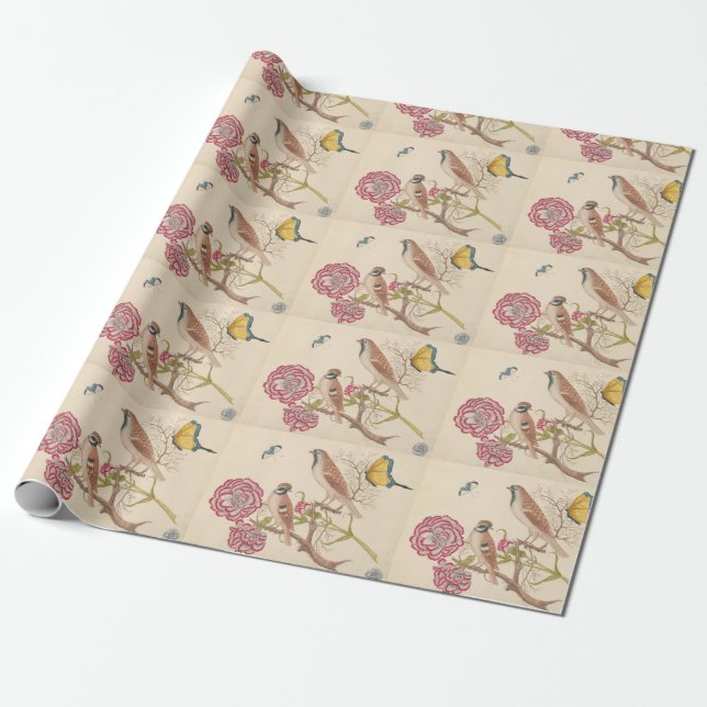 Papel De Regalo Aves marrones con claveles y mariposas (Desenrollado)