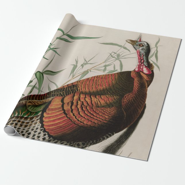 Papel De Regalo Aves silvestres de Turquía de la impresión auduóni (Desenrollado)