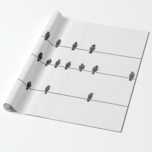 Papel De Regalo Aves simples en el Ilustracion hecho a mano