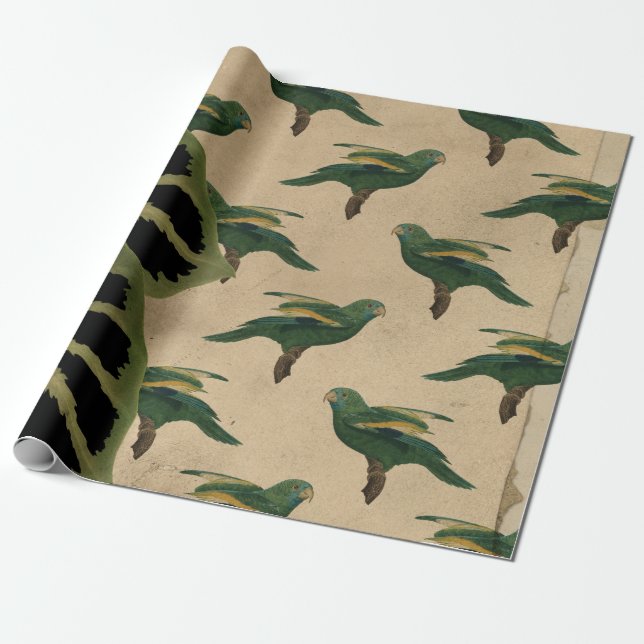 Papel De Regalo Aves verdes y amarillas vintage (Desenrollado)