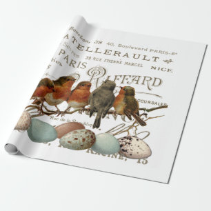 Papel De Regalo Aves y huevos pintan la antigua ciudad francesa