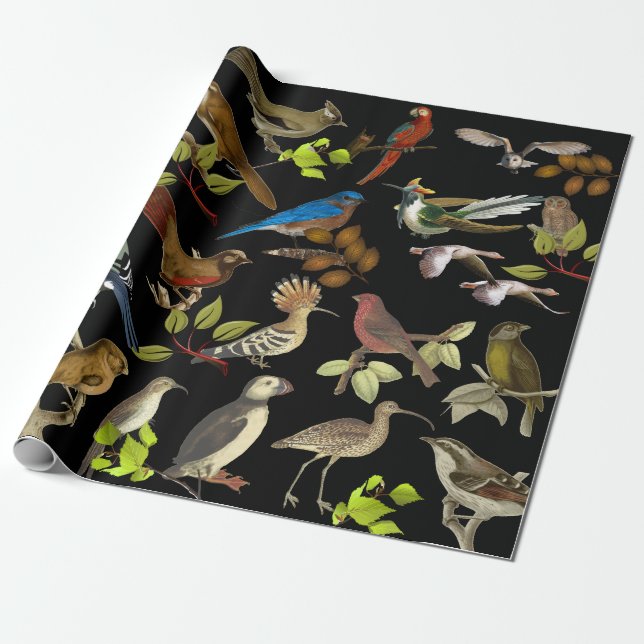 Papel De Regalo Aves y más Aves (Desenrollado)